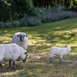 Hébergement de vacances Le Domaine Des Ormeaux