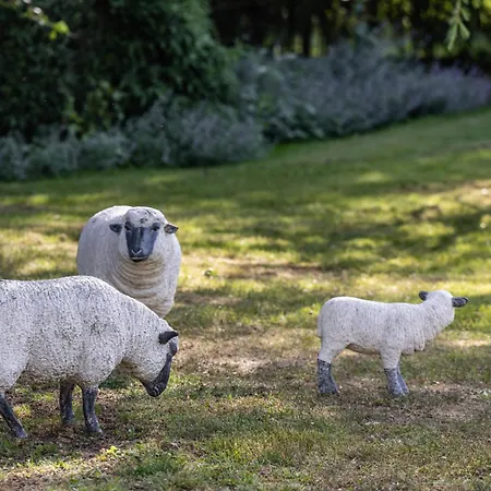 Ferienhaus Le Domaine Des Ormeaux