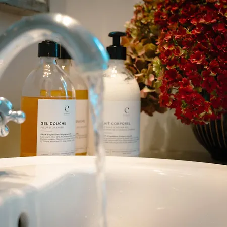 Le Domaine Des Ormeaux 別荘 *