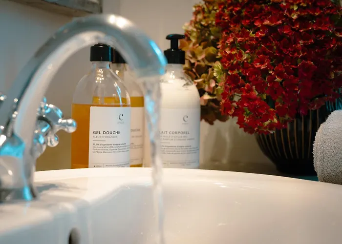 Le Domaine Des Ormeaux Tatil Evi *